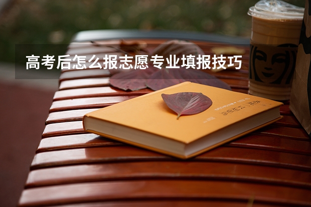 高考后怎么报志愿专业填报技巧