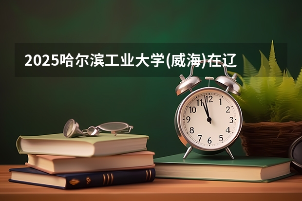 2025哈尔滨工业大学(威海)在辽宁招生计划 招生人数预测