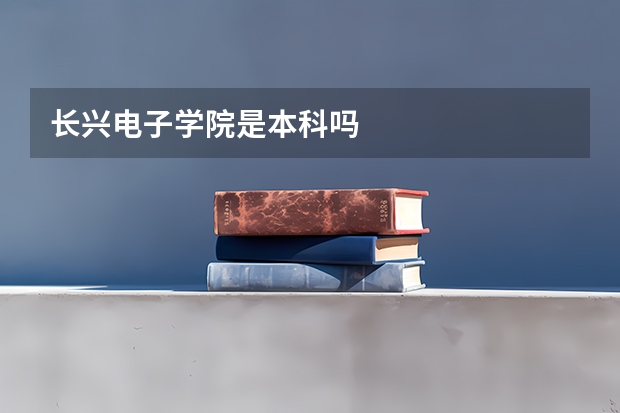 长兴电子学院是本科吗