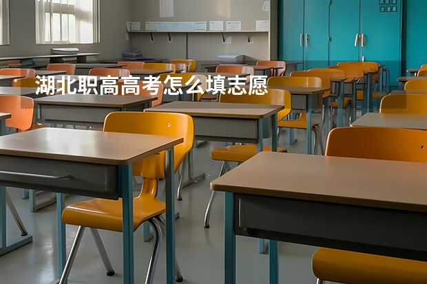 湖北职高高考怎么填志愿