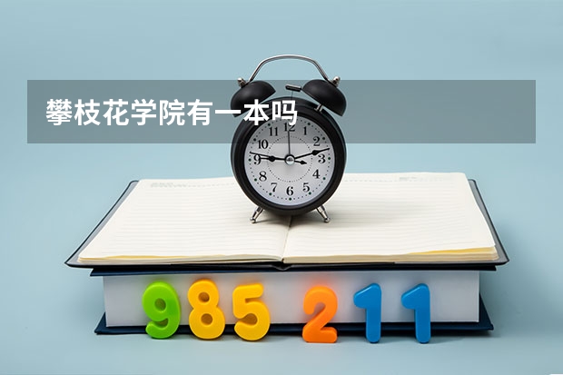 攀枝花学院有一本吗
