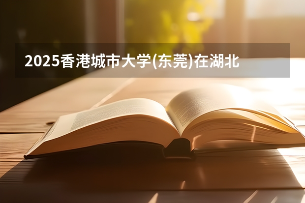2025香港城市大学(东莞)在湖北招生计划 招生人数预测