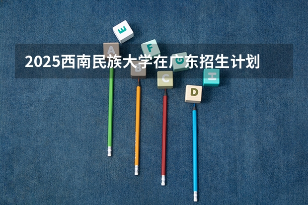 2025西南民族大学在广东招生计划 招生人数