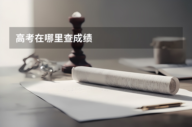 高考在哪里查成绩