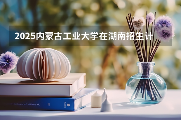 2025内蒙古工业大学在湖南招生计划 招生人数