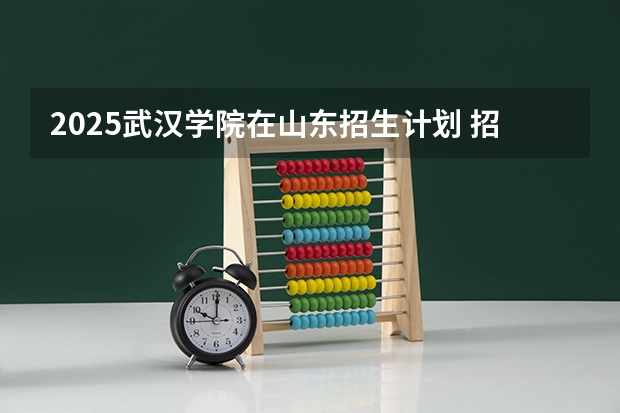 2025武汉学院在山东招生计划 招生人数