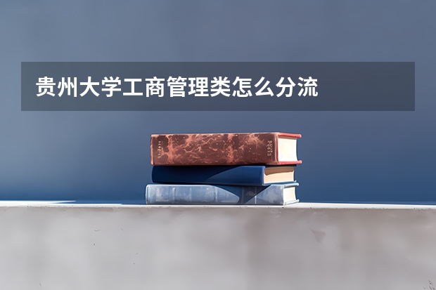 贵州大学工商管理类怎么分流
