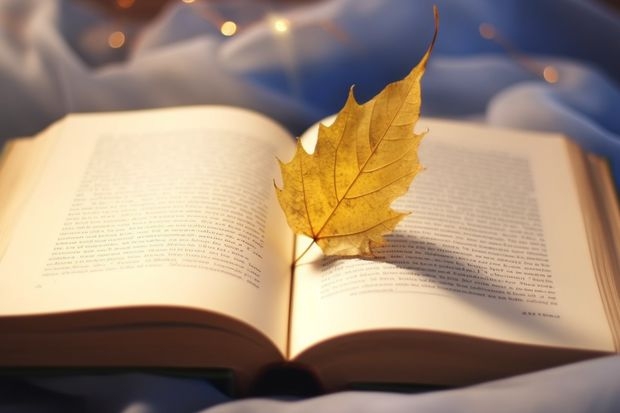 山东医学高等专科学校的录取分数线是多少？