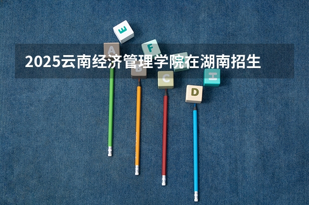 2025云南经济管理学院在湖南招生计划 招生人数预测