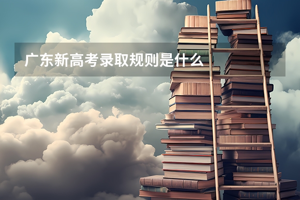 广东新高考录取规则是什么