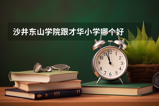 沙井东山学院跟才华小学哪个好