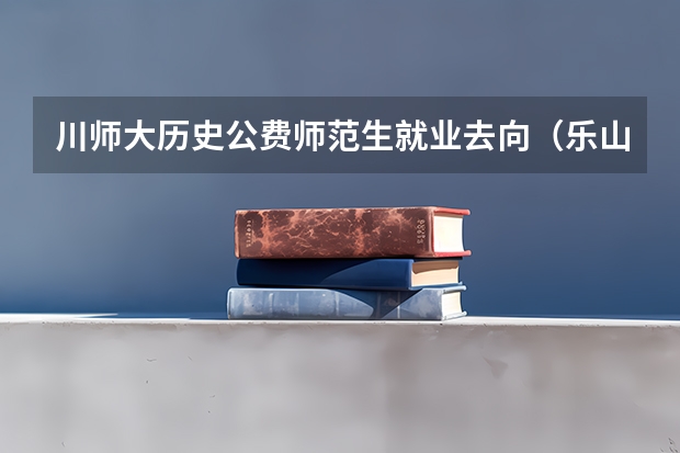 川师大历史公费师范生就业去向（乐山师范学院招生章程）
