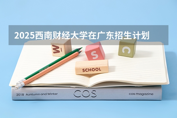 2025西南财经大学在广东招生计划 招生人数