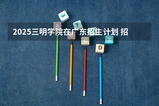 2025三明学院在广东招生计划 招生人数