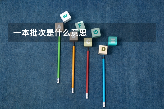 一本批次是什么意思