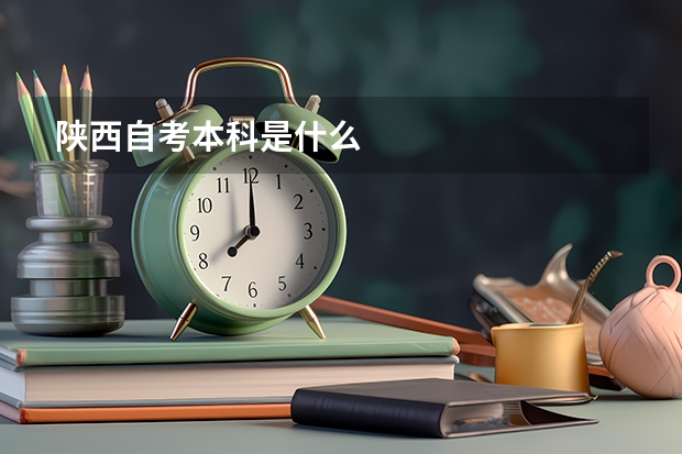 陕西自考本科是什么