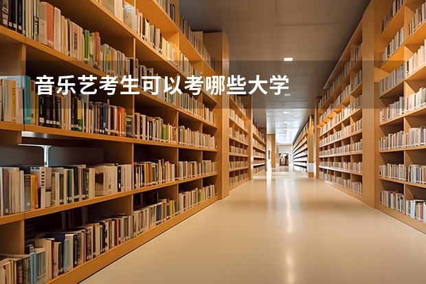 音乐艺考生可以考哪些大学