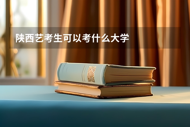陕西艺考生可以考什么大学