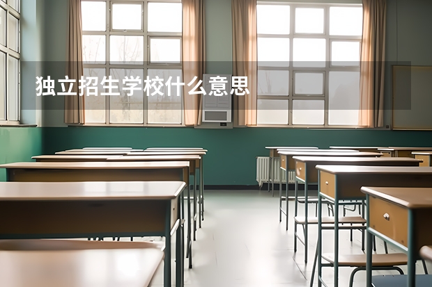 独立招生学校什么意思
