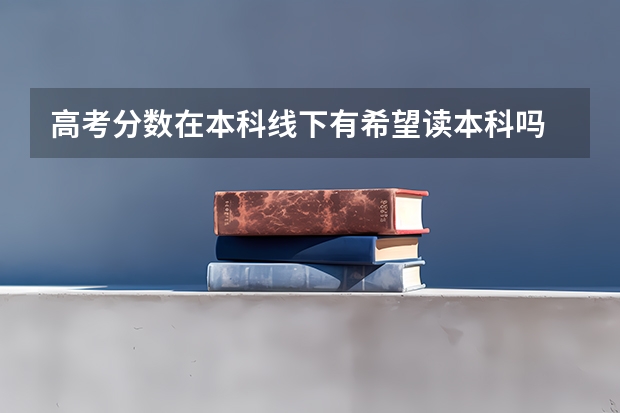 高考分数在本科线下有希望读本科吗