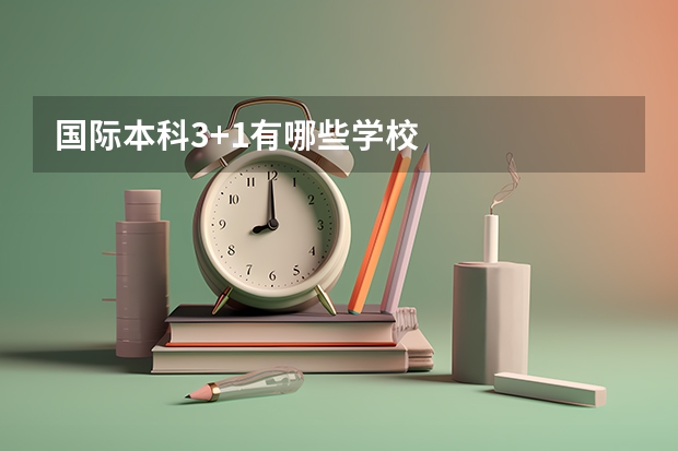 国际本科3+1有哪些学校