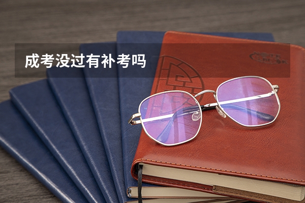 成考没过有补考吗