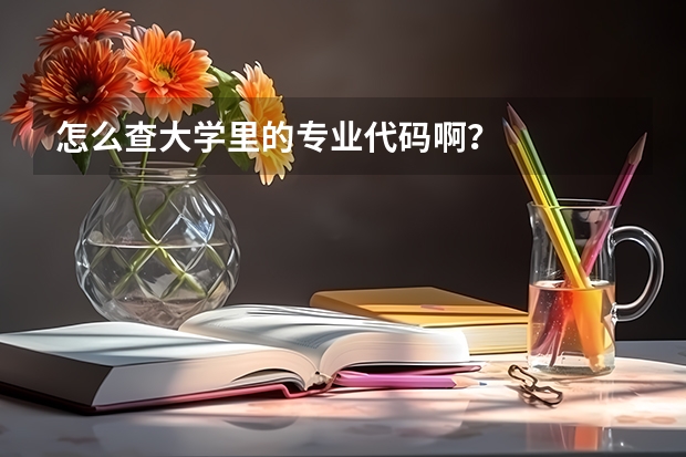 怎么查大学里的专业代码啊？