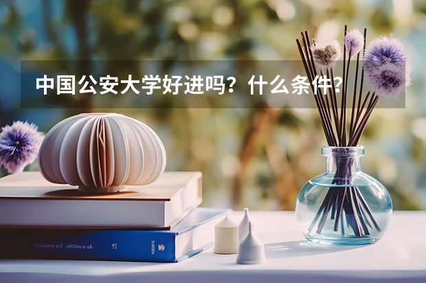 中国公安大学好进吗？什么条件？