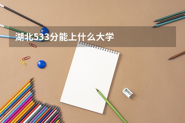 湖北533分能上什么大学