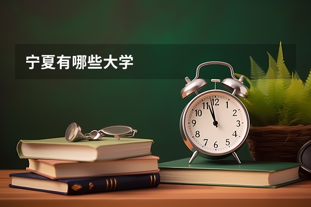宁夏有哪些大学
