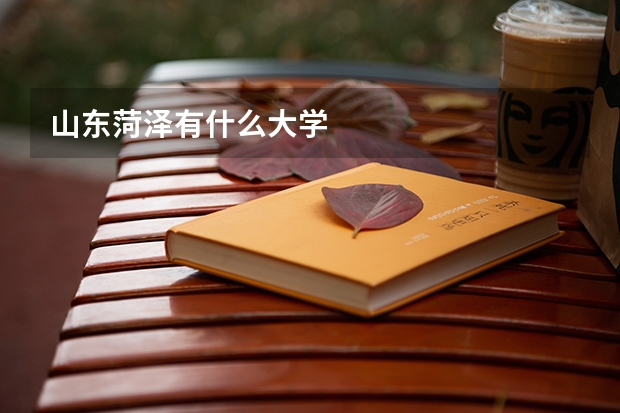 山东菏泽有什么大学