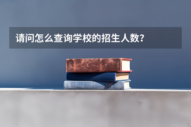 请问怎么查询学校的招生人数？