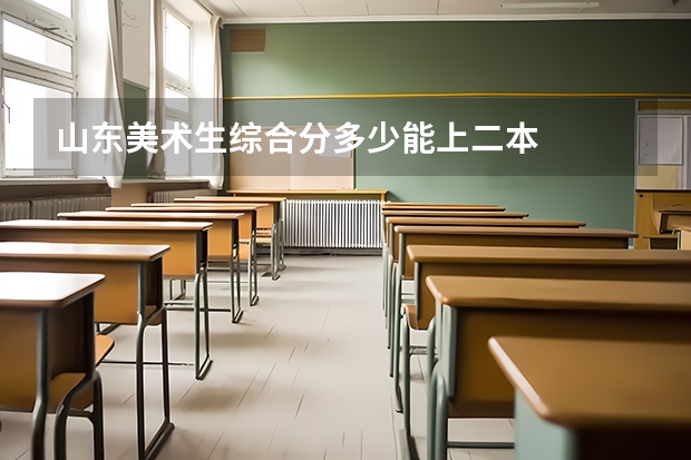 山东美术生综合分多少能上二本