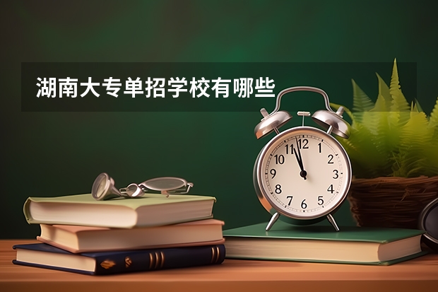 湖南大专单招学校有哪些