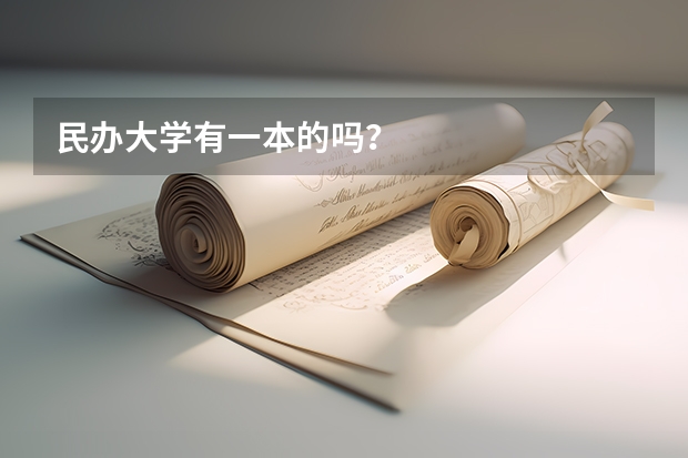 民办大学有一本的吗？