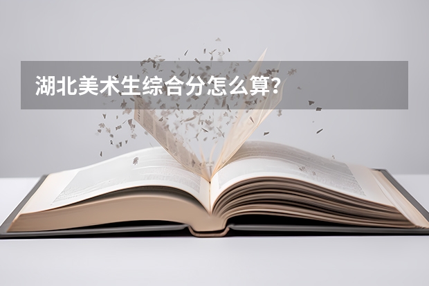 湖北美术生综合分怎么算？