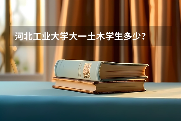 河北工业大学大一土木学生多少？