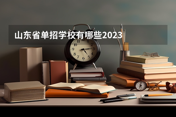 山东省单招学校有哪些2023