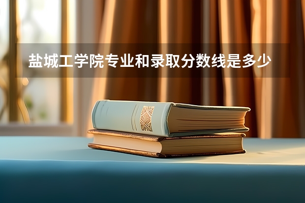 盐城工学院专业和录取分数线是多少