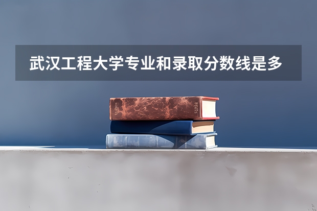  武汉工程大学专业和录取分数线是多少