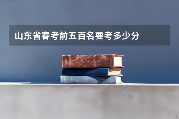 山东省春考前五百名要考多少分