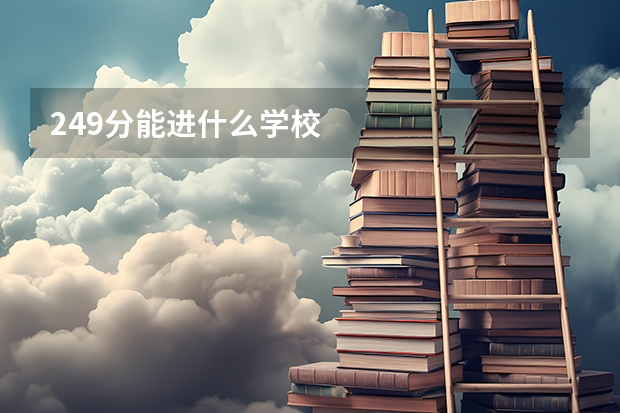 249分能进什么学校