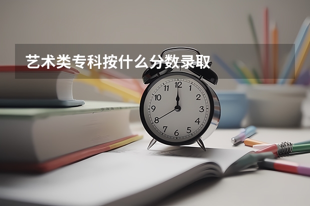 艺术类专科按什么分数录取