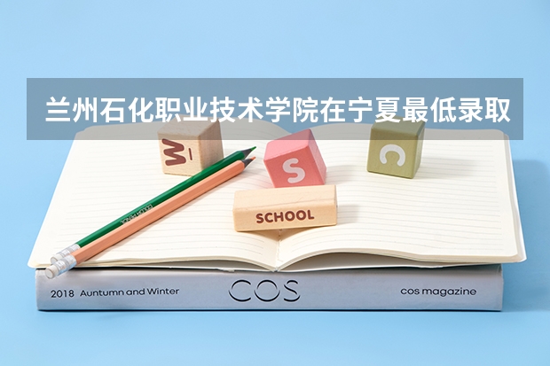 兰州石化职业技术学院在宁夏最低录取分数线是多少？