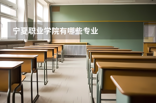 宁夏职业学院有哪些专业