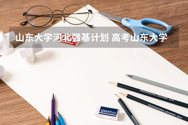 山东大学河北强基计划 高考山东大学分数线