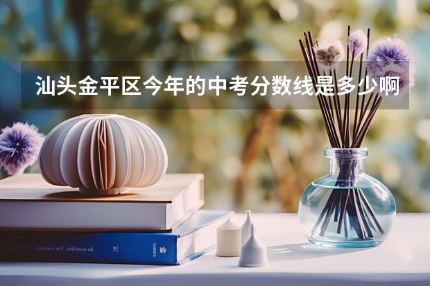 汕头金平区今年的中考分数线是多少啊?