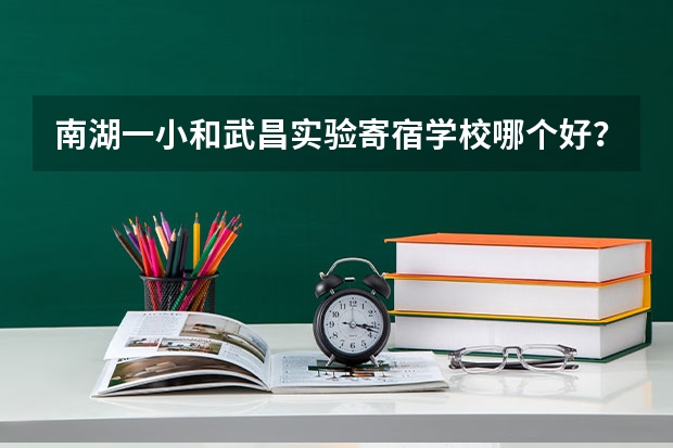 南湖一小和武昌实验寄宿学校哪个好？