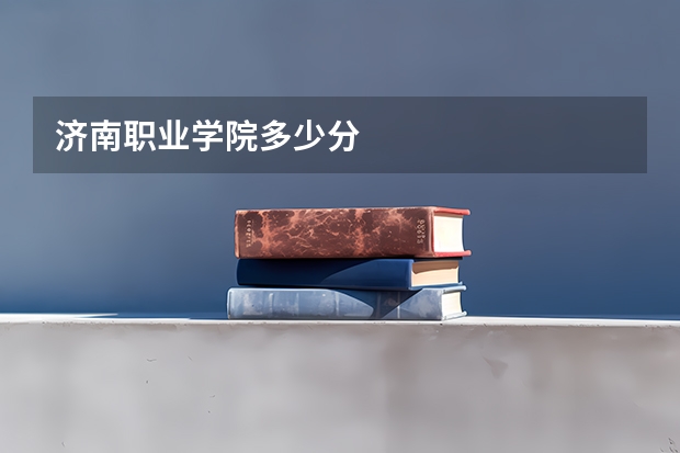济南职业学院多少分