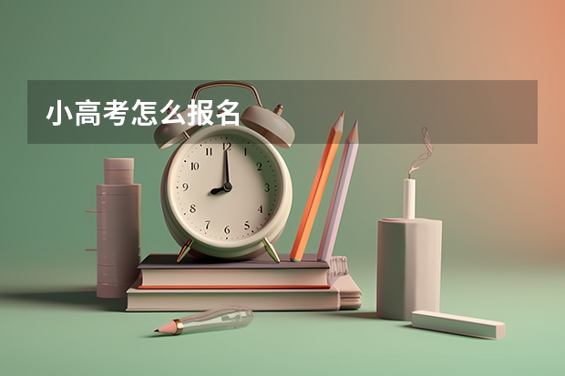 小高考怎么报名